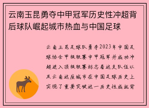 云南玉昆勇夺中甲冠军历史性冲超背后球队崛起城市热血与中国足球